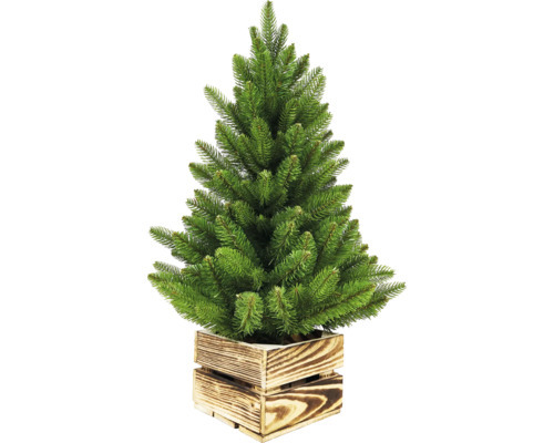 Kleiner Weihnachtsbaum in Holzkiste