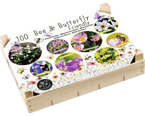 Blumenzwiebel Mischung Big Box