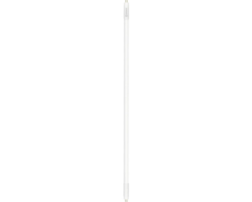 Leuchtstofflampe