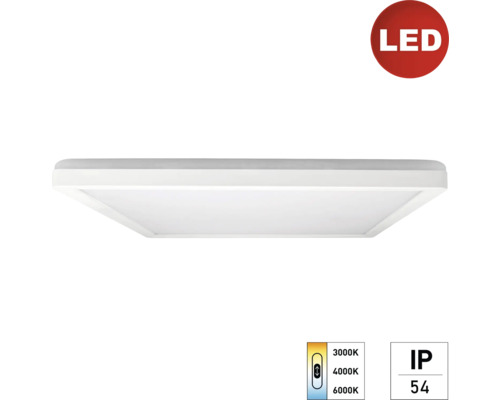 LED Panel Aufbauleuchte e2 TWICE 24 W, weiß