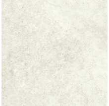 Heller Naturstein mit gesprenkelter Textur