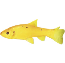 Goldfisch für den Gartenteich