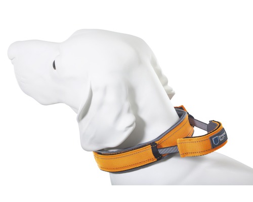 Halsband ArmoredTech Dog Control Gr. S 33 - 38 cm orange