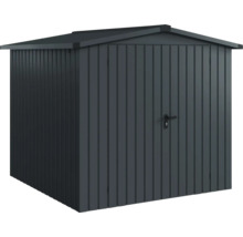 Metall Gerätehaus mit Tür und Dach