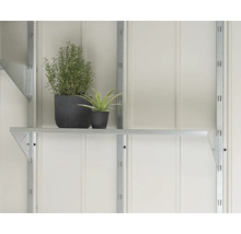 Regal mit Pflanzen vor einer weißen Wand