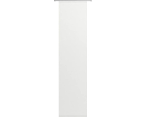 Rollup-Leinwand mit Halterung