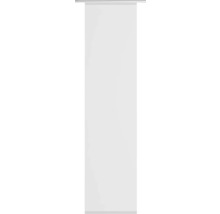 Roll-Up-Display ohne Aufdruck