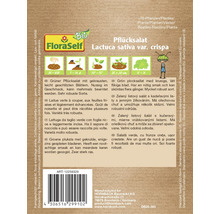 FloraSelf Pflücksalat Lactuca sativa var crispa Samenpackung