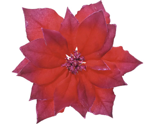 Weihnachtsdekoration Weihnachtsstern Kunststoff 24 x 24 x 7 cm rot Weihnachtssternblüte für Weihnachtsdekoration