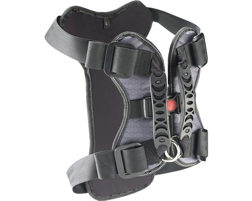 Hundegeschirr mit verstellbaren Riemen