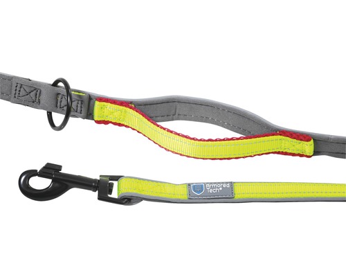 Hundeleine mit Griff und Karabinerhaken