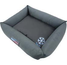 Hundebett mit kühlender Einlage