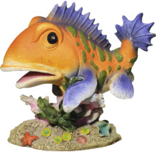 Dekorativer Zierfisch für Aquarien