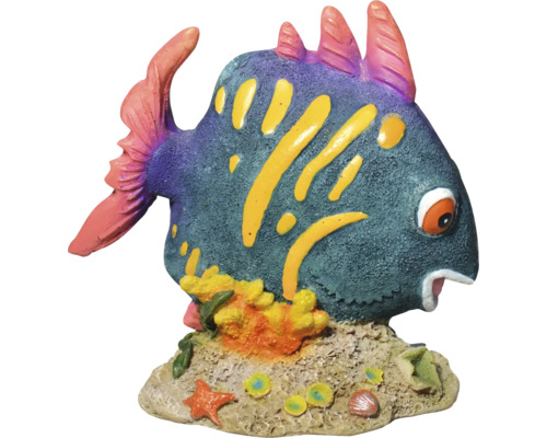 Dekorativer Fisch für Aquarien