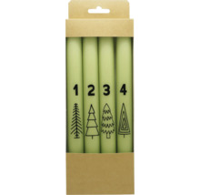 Vier Adventskerzen mit Zahlen und Tannenbaum Motiven in einer Verpackung