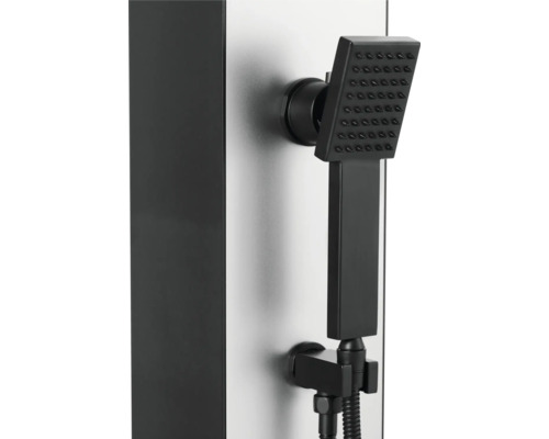 Brausepaneel mit Handbrause