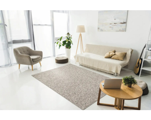 Wohnzimmer mit Teppich, Sessel, Sofa und Beistelltisch