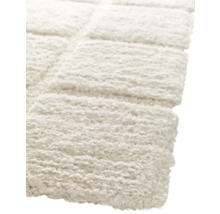 Detailansicht eines rechteckigen, hochflorigen Teppichs