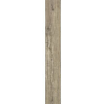 Holzoptik Fliese mit Maserung