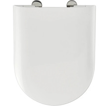 Toilettendeckel aus Sanitärkeramik