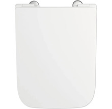 Toilettendeckel aus Kunststoff