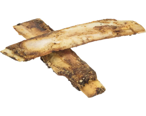 Zwei Knochenstücke für Hunde