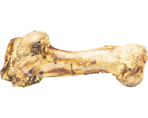 Gefüllter Knochen für Hunde