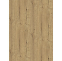 Holzdekorplatte mit Eichenmuster