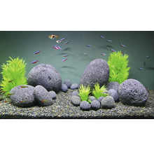 Dekoriertes Aquarium mit Zierfischen, Kies, Steinen und Kunstpflanzen