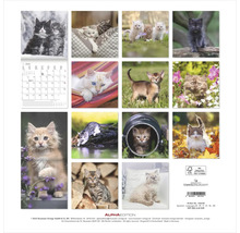 Wandkalender mit Katzenmotiven, Kalendarium für 2026