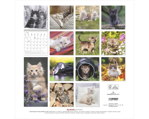Wandkalender mit Katzenmotiven, Kalendarium für 2026