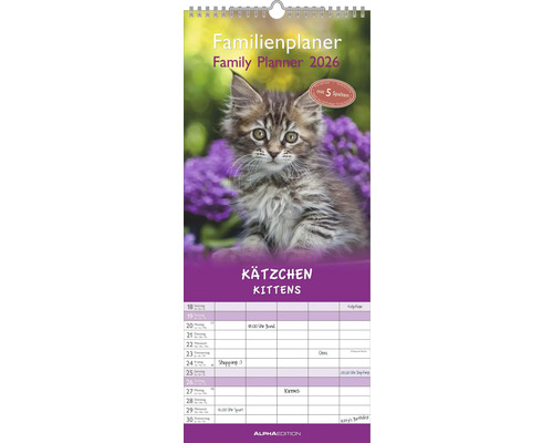 Familienplaner Kätzchen 2026 19,5x45 cm Familienplaner 2026 mit Katzenmotiv und fünf Spalten