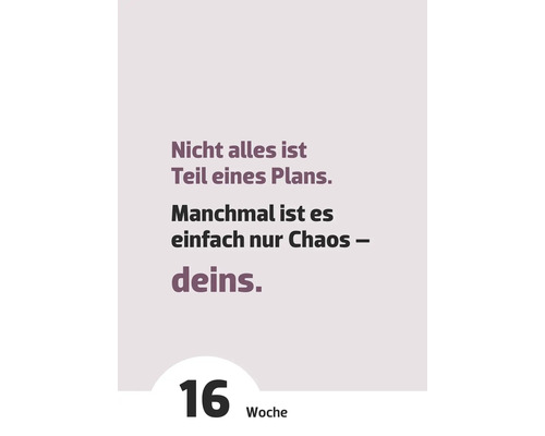 Zitat: Nicht alles ist Teil eines Plans. Manchmal ist es einfach nur Chaos – deins. Woche 16