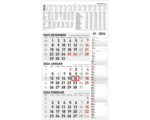 Wandkalender 3-Monatskalender Kombi 2026 33x58,8 cm Wandkalender mit Monatsübersicht Dezember 2025, Januar und Februar 2026