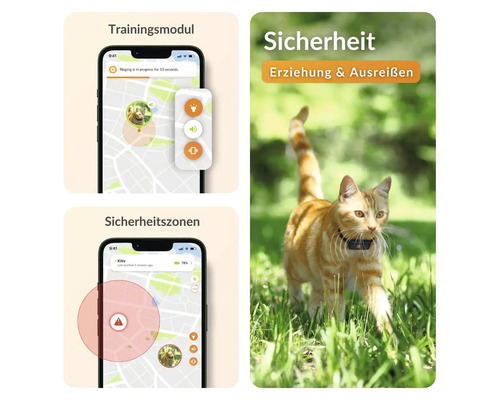 Trainingsmodul und Sicherheitszonen der Katzenortung per App und eine Katze mit Tracker im Halsband