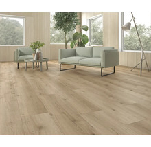 Heller Wohnraum mit Laminatboden, Sofa und Sessel