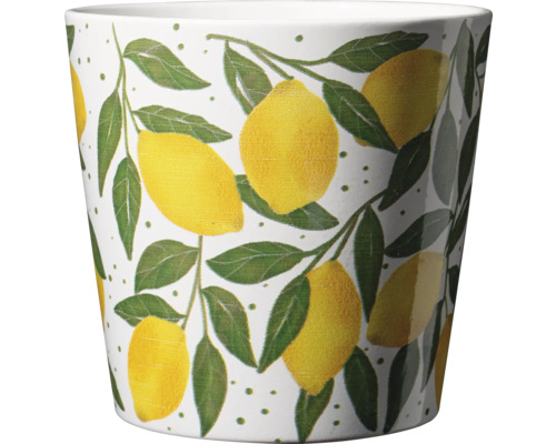 Blumentopf Pflanztopf Soendgen Keramik Ø 14 cm 14 x 14 x 13 cm weiß