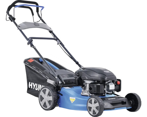 Benzinrasenmäher mit Fangkorb