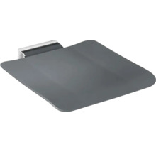 Toilettendeckel mit Absenkautomatik