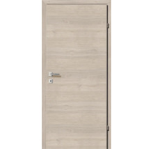 Innentür mit Holzoptik, Türgriff und Schloss