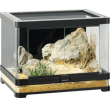 Terrarium mit Glas, Steinen, Pflanzen und Bodengrund