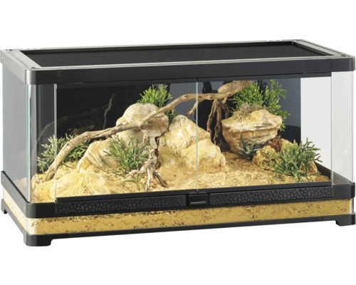 Eingerichtetes Terrarium aus Glas mit Steinen, Sand, Pflanzen und Ästen