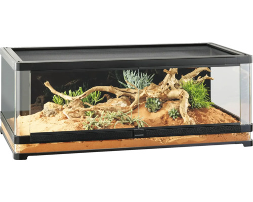 Terrarium mit Pflanzen und Wurzeln