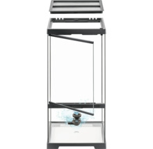Terrarium aus Glas mit Belüftungssystem