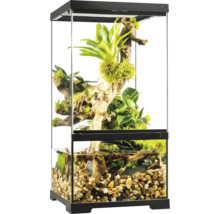Eingerichtetes Terrarium mit Pflanzen und Wasserbereich.