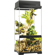 Eingerichtetes Terrarium mit Pflanzen und Steinen