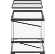 Terrarium aus Glas mit Gitterabdeckung