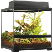 Terrarium mit Pflanzen und Dekoration