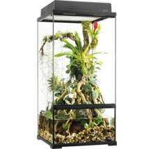Terrarium mit Pflanzen und Steinen zur Tierhaltung