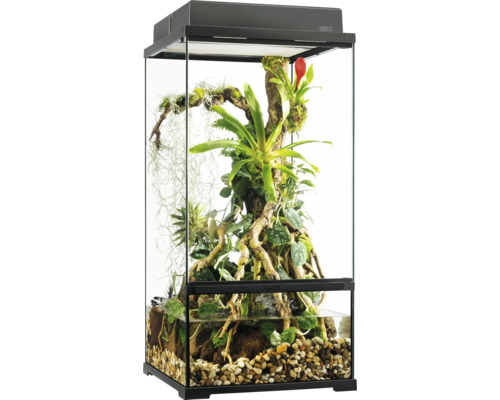 Terrarium mit Pflanzen und Steinen zur Tierhaltung